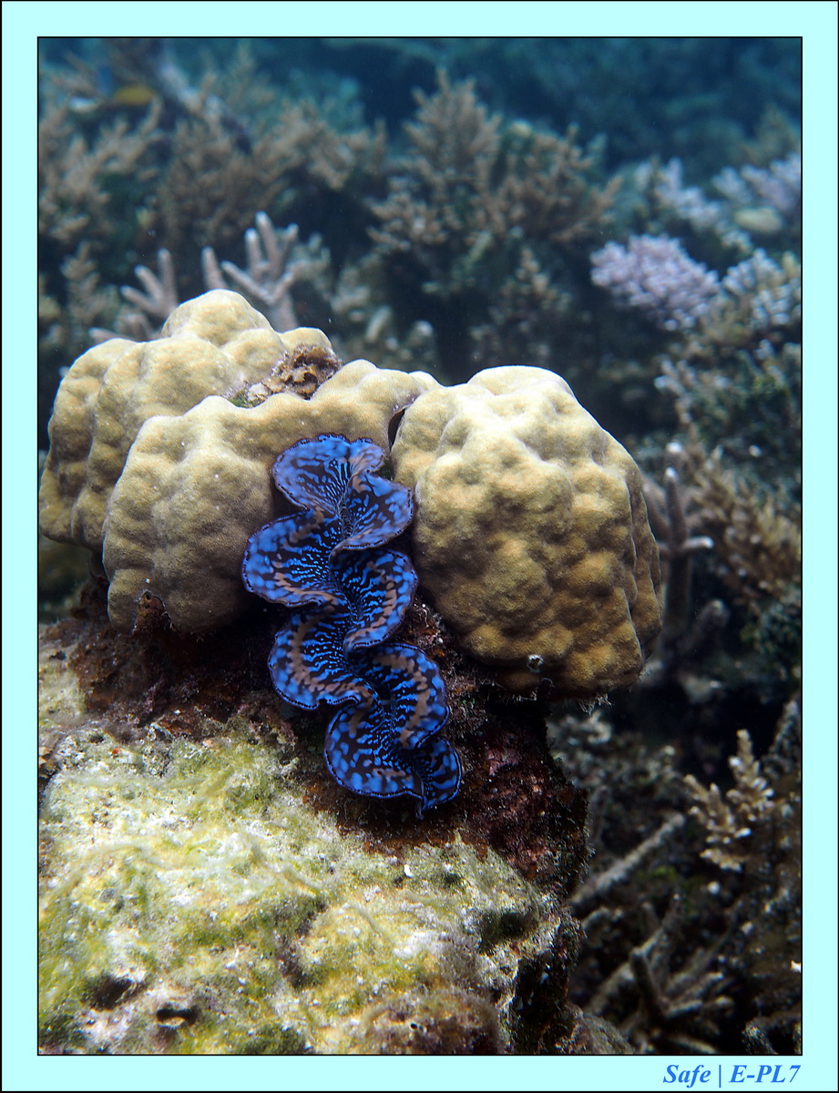 2016 - 07 - Leng Tengah - 017